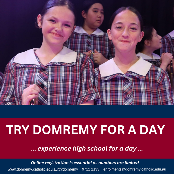 try_domremy_for_a_day_(1).png